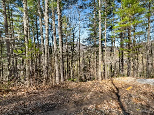 99999 Deer Run Ct #48, Asheville, NC 28803