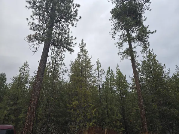 37XX Rusty Moose Way, Loon Lake, WA 99148