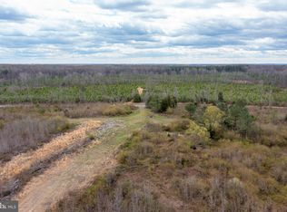 Mount Olive Rd, Beaverdam, VA 23015