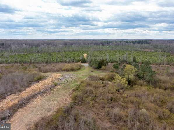 Mount Olive Rd, Beaverdam, VA 23015