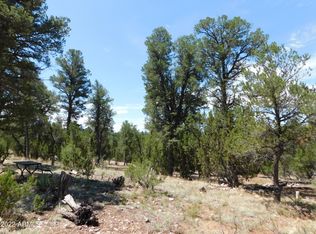 1919 Elk Rd #26, Heber, AZ 85928