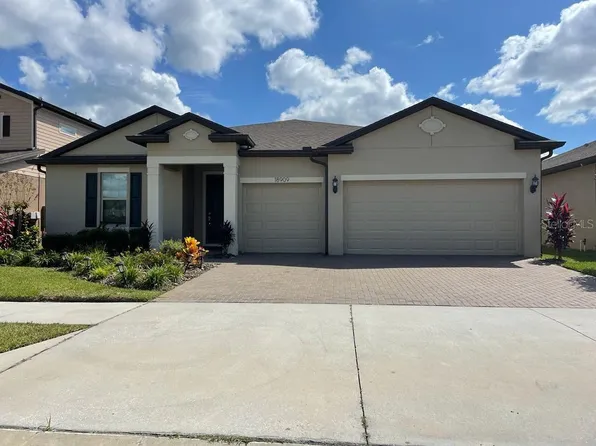 18909 Willowmore Cedar Dr, Lutz, FL 33558