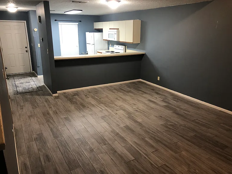 Living room and kitchen