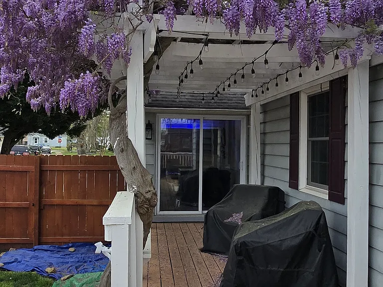 Wisteria Covered Pergola