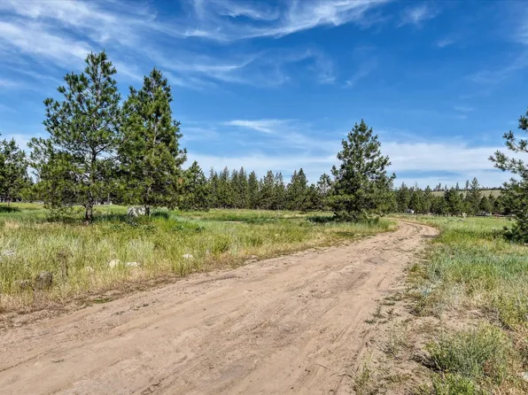 7577 Elaine Street Way, Ford, WA 99013