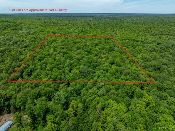 19502 W Line Trl, Newberry, MI 49868