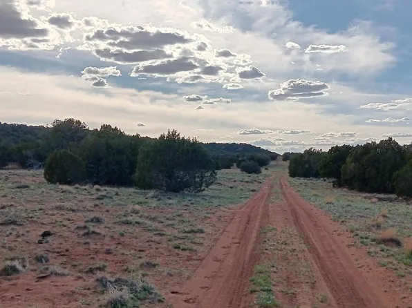 8668 Dragon Dr, Show Low, AZ 85901