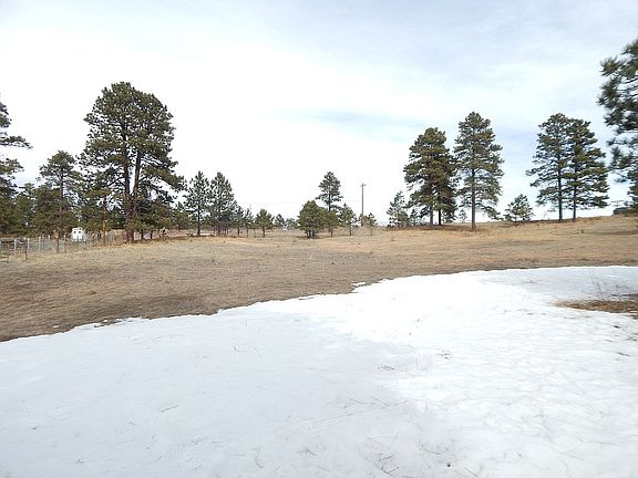 4th image of 33925 County Road 21