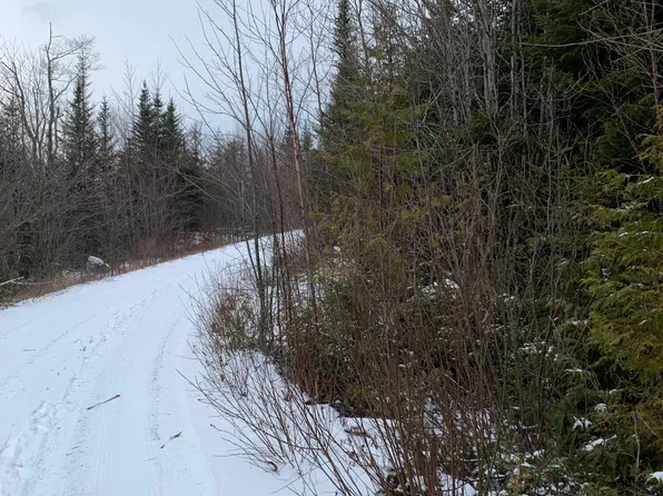 Lot 8 Bog Brook Way, Cutler, ME 04626