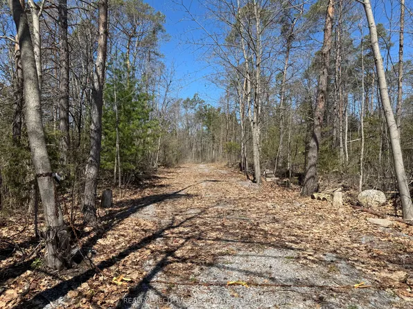 6192 County Road 50, Trent Hills, ON K0L 1L0