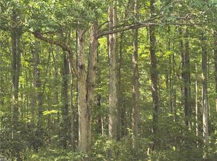 26 Nansemond Ave, Suffolk, VA 23434
