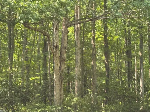 26 Nansemond Ave, Suffolk, VA 23434