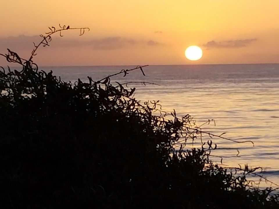 A beautiful art show open daily to the public.