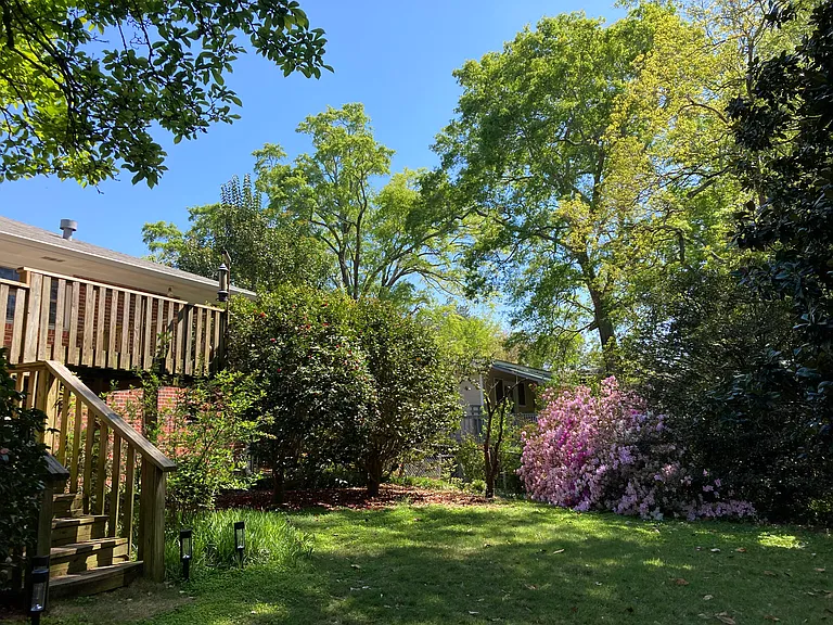 Back yard looking up at house