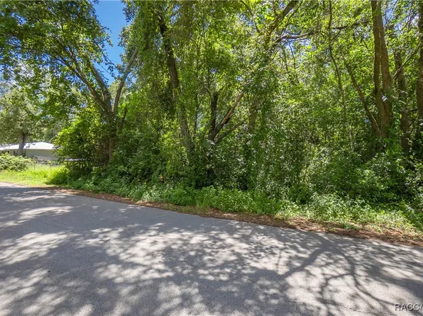 474 N Morris Ave, Inverness, FL 34453