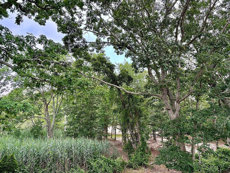 2nd image of 1925 Eugenes Rd