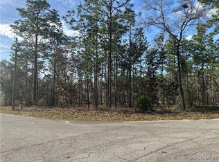 4 Balata Ct, Homosassa, FL 34446