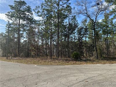4 Balata Ct, Homosassa, FL, 34446