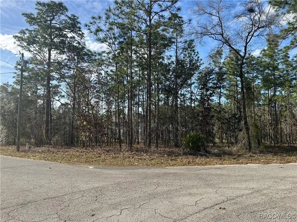 4 Balata Ct, Homosassa, FL 34446