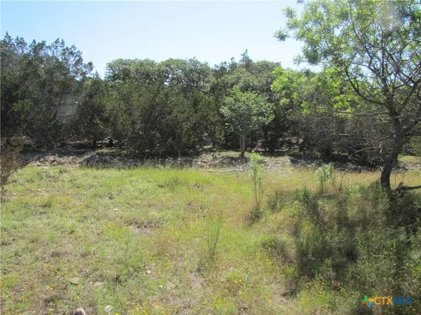 9063 Fawn Creek Dr, Spring Branch, TX 78070