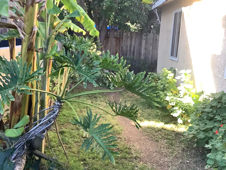 5732 La Mirada Ave — Photo 13
