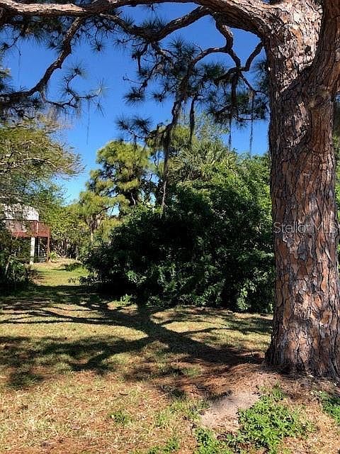 1st image of 635 Jungle Queen Way