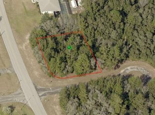 3011 W Challenge Ct, Citrus Springs, FL 34434