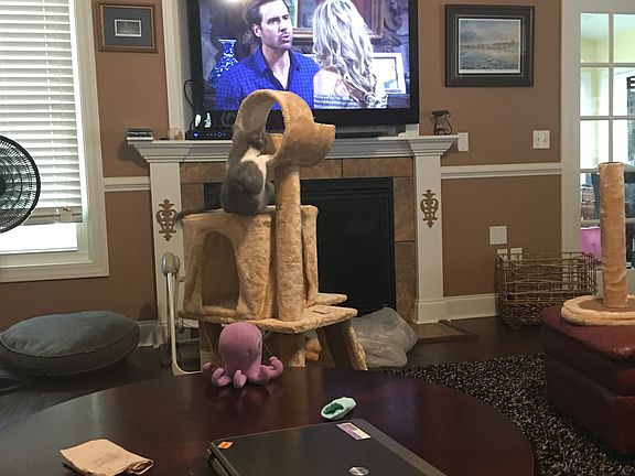 Living room and fireplace