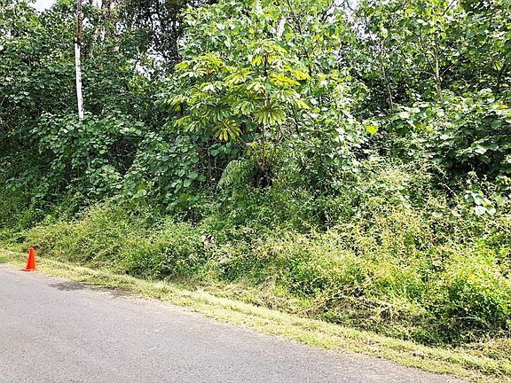 5th image of Niuhi St Lot 6