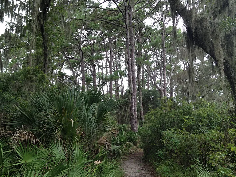Myakka River State Park