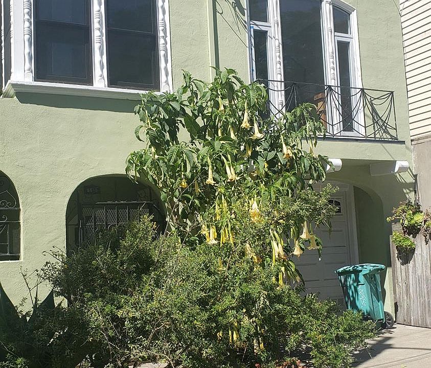 2nd image of 6918 Fulton St