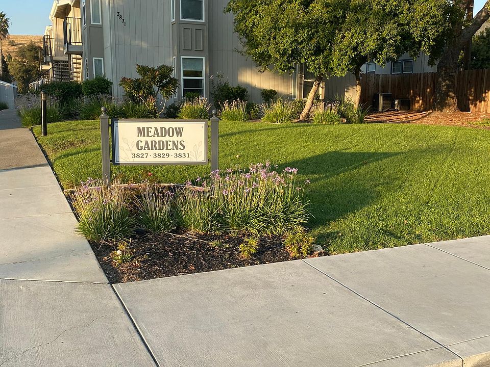 1st image of 3829 Pacheco Blvd APT 13