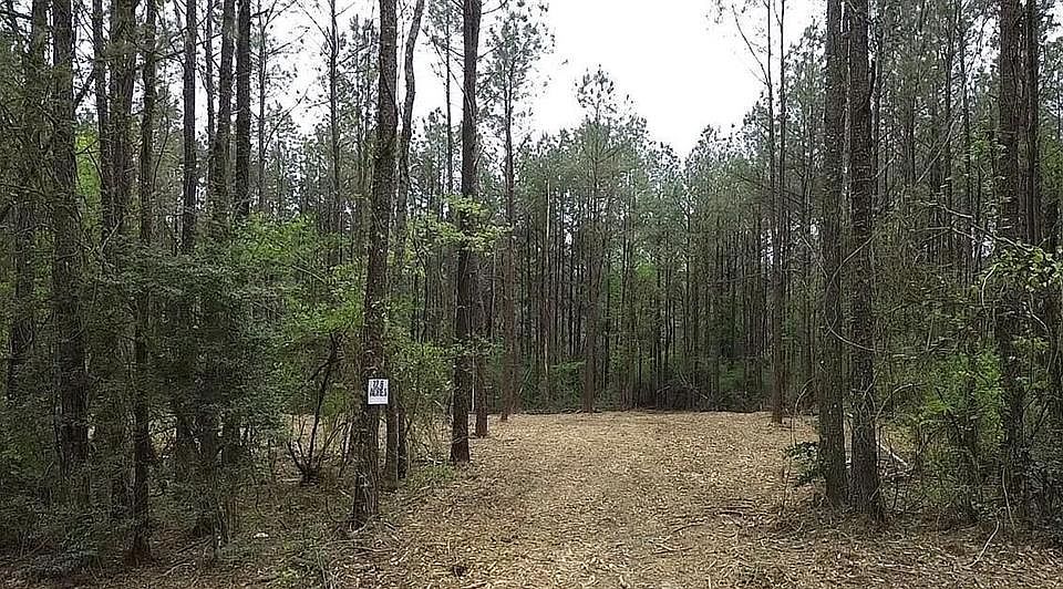 2nd image of Harts Ln
