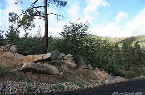 5th image of 519 Lodge Trail Cir