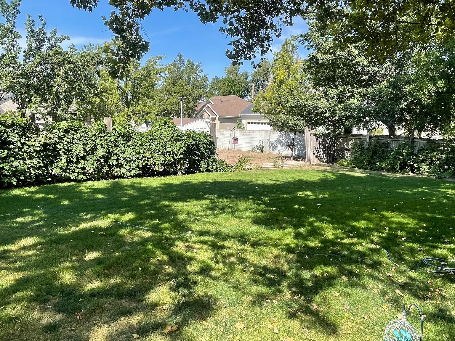 2 bed, 1092 sqft, $2,100 — Photo 3
