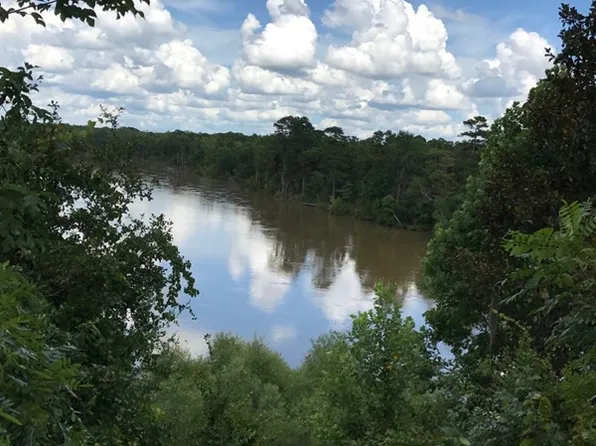 1044 Altamaha Rd, Jesup, GA 31545
