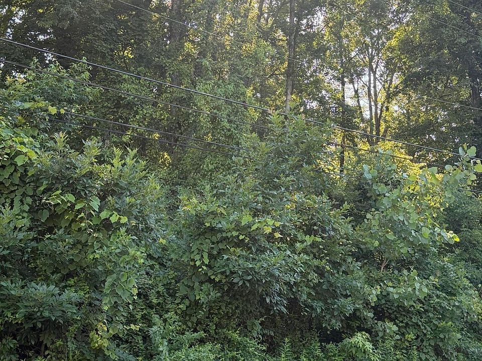 1st image of 8410 Arnoldtown Rd