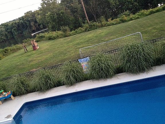 Summer Activities