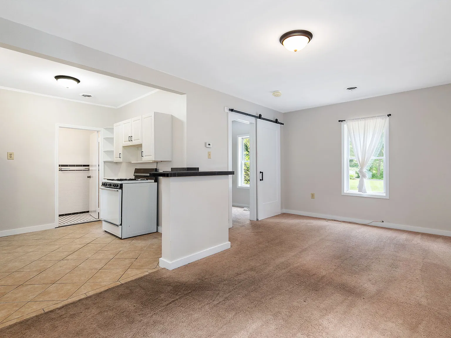 1 bed, 425 sqft, $1,300 — Photo 4