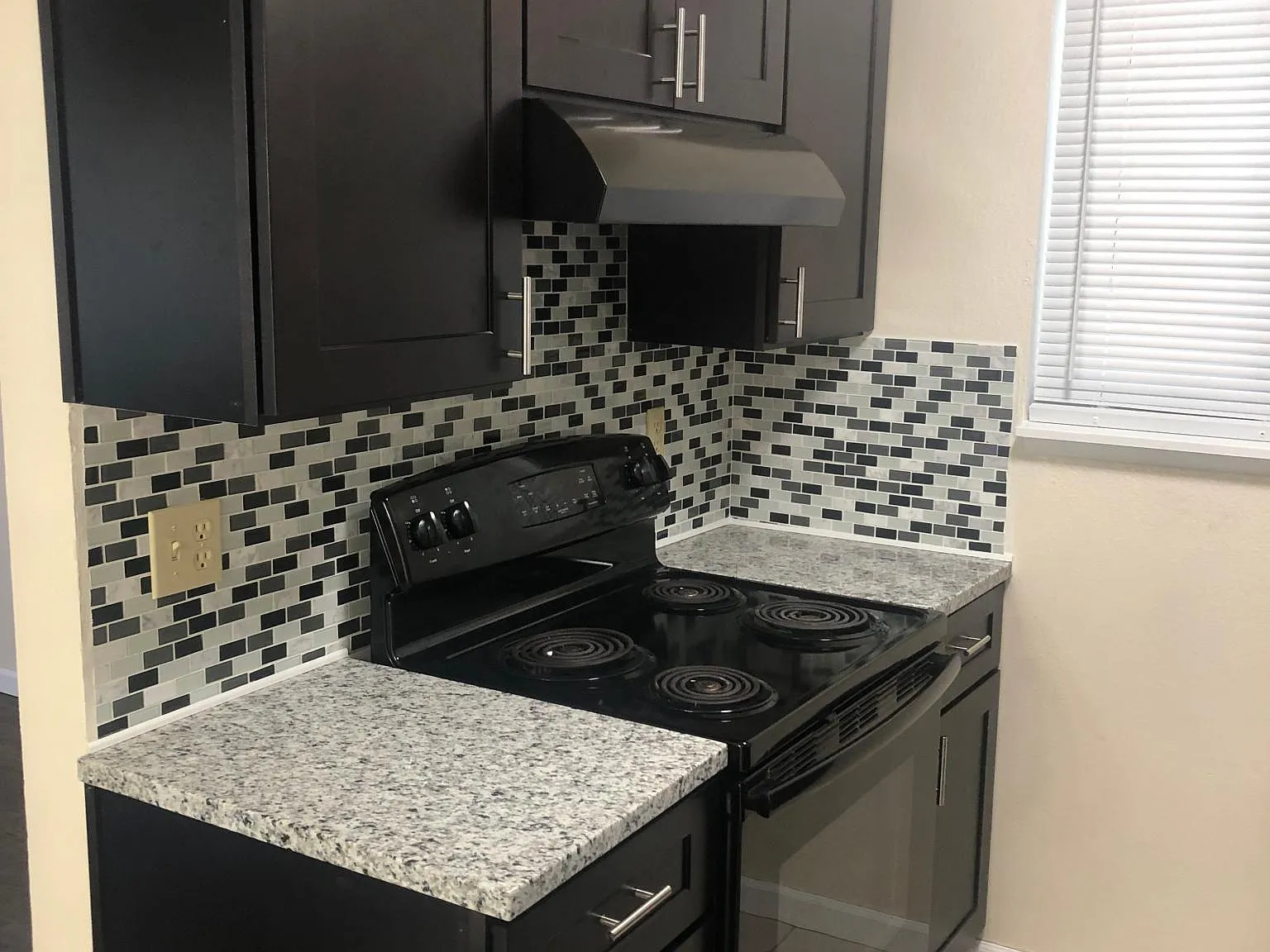 1 bed, 700 sqft, $1,030 — Photo 3