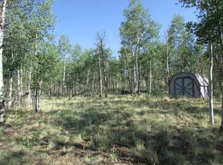2273 Pinto Trl, Como, CO 80432