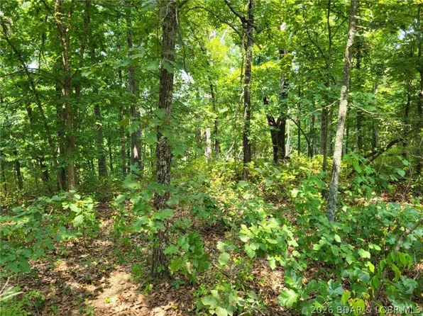 Lee Dr #2020, Edwards, MO 65326