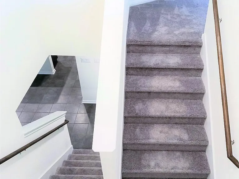 2503 Rosemary St — Photo 11