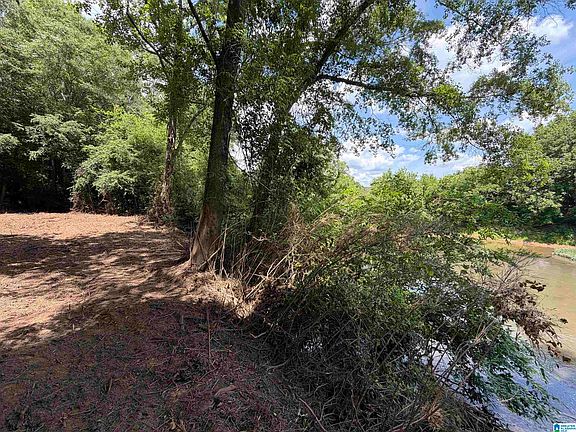 3rd image of 0 County Road 509 #1