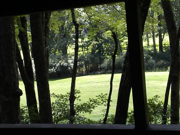 View from covered deck 6&7