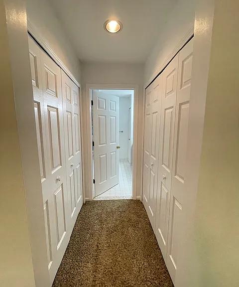 30885 Lee Frank Ln #8 — Photo 17