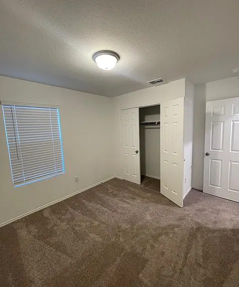 1005 Clear Dusk Ln — Photo 5