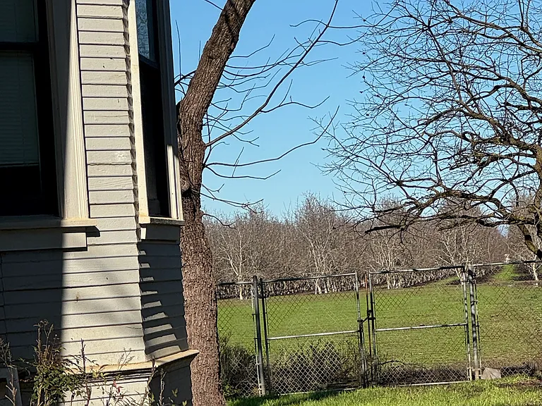 9151 Campbell Rd — Photo 7