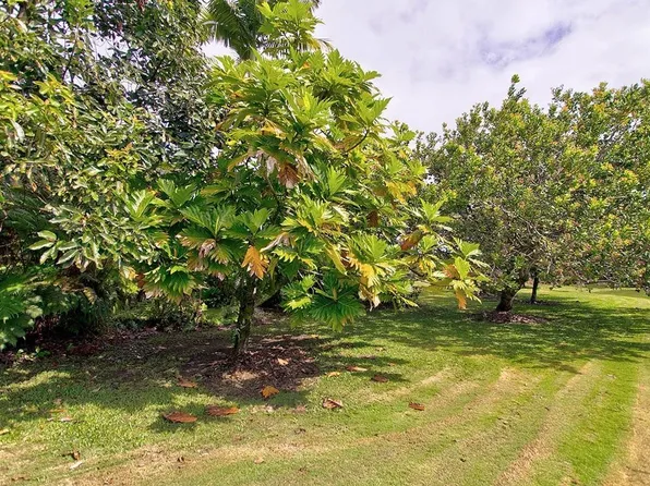 444D Kukuau St, Hilo, HI 96720