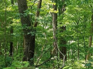 0 Tally Mountain Rd N, Jasper, GA 30143